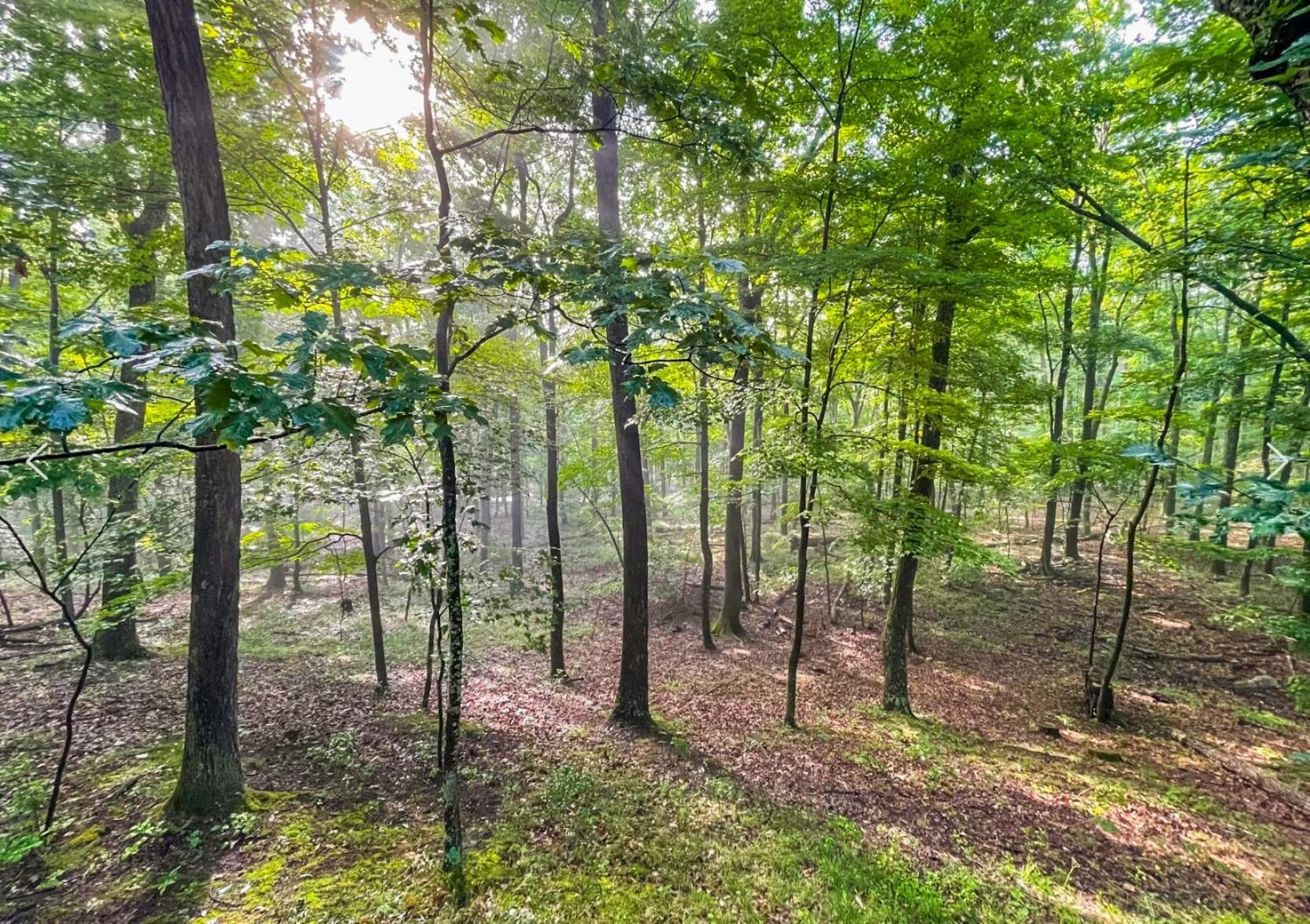 Modern Retreat W Hot Tub, Deck & Resort Amenities Berkeley Springs Exterior foto